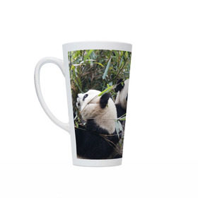 Кружка Латте с принтом Семейка панд в Новосибирске, Белая керамика | Объем 480 мл; Высота 150 мм; Диаметр 90 мм | Тематика изображения на принте: бамбук | животное | зверь | косолапый | лес | медведи | медведь | миша | мишка | мишутка | млекопитающее | панда | природа | трое