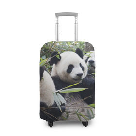 Чехол для чемодана 3D с принтом Семейка панд в Новосибирске, 86% полиэфир, 14% спандекс | двустороннее нанесение принта, прорези для ручек и колес | Тематика изображения на принте: бамбук | животное | зверь | косолапый | лес | медведи | медведь | миша | мишка | мишутка | млекопитающее | панда | природа | трое