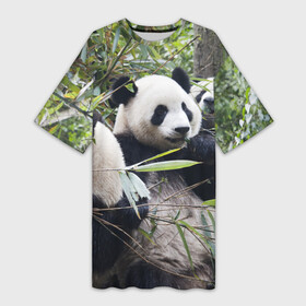 Платье-футболка 3D с принтом Семейка панд в Новосибирске,  |  | Тематика изображения на принте: бамбук | животное | зверь | косолапый | лес | медведи | медведь | миша | мишка | мишутка | млекопитающее | панда | природа | трое