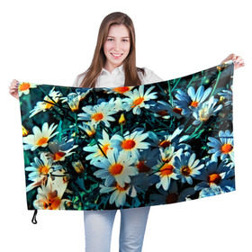 Флаг 3D с принтом Полевые ромашки в Новосибирске, 100% полиэстер | плотность ткани — 95 г/м2, размер — 67 х 109 см. Принт наносится с одной стороны | flower | лето | полевой цветок | цветочки | цветы