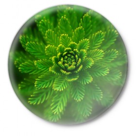 Значок с принтом Красивое растение в Новосибирске,  металл | круглая форма, металлическая застежка в виде булавки | Тематика изображения на принте: 