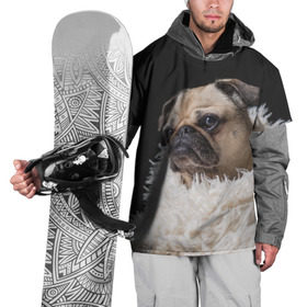Накидка на куртку 3D с принтом Мопс в Новосибирске, 100% полиэстер |  | Тематика изображения на принте: бульдог | мопс | мопсик | мопсы | пес | песик | песики | собака | собаки | собачка