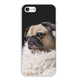 Чехол для iPhone 5/5S матовый с принтом Мопс в Новосибирске, Силикон | Область печати: задняя сторона чехла, без боковых панелей | Тематика изображения на принте: бульдог | мопс | мопсик | мопсы | пес | песик | песики | собака | собаки | собачка