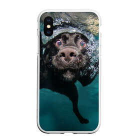 Чехол для iPhone XS Max матовый с принтом Пес дайвер в Новосибирске, Силикон | Область печати: задняя сторона чехла, без боковых панелей | вода | гребет | дайвер | животное | купается | лапы | нос | пес | плавец | плывет | под водой | прикольный | пузыри | смешной | собака | щенок