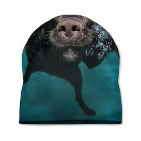 Шапка 3D с принтом Пес дайвер в Новосибирске, 100% полиэстер | универсальный размер, печать по всей поверхности изделия | вода | гребет | дайвер | животное | купается | лапы | нос | пес | плавец | плывет | под водой | прикольный | пузыри | смешной | собака | щенок