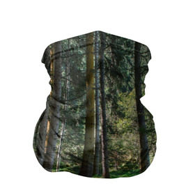 Бандана-труба 3D с принтом Темный лес в Новосибирске, 100% полиэстер, ткань с особыми свойствами — Activecool | плотность 150‒180 г/м2; хорошо тянется, но сохраняет форму | бор | деревья | ель | ельник | заповедник | камни | красивый | лес | лето | мох | мрачный | прекрасный | природа | флора | чудесный