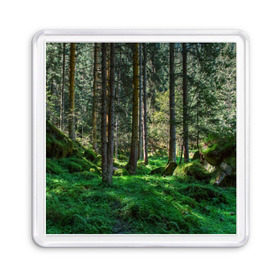 Магнит 55*55 с принтом Темный лес в Новосибирске, Пластик | Размер: 65*65 мм; Размер печати: 55*55 мм | бор | деревья | ель | ельник | заповедник | камни | красивый | лес | лето | мох | мрачный | прекрасный | природа | флора | чудесный