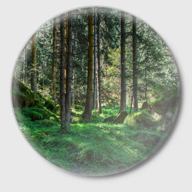 Значок с принтом Темный лес в Новосибирске,  металл | круглая форма, металлическая застежка в виде булавки | бор | деревья | ель | ельник | заповедник | камни | красивый | лес | лето | мох | мрачный | прекрасный | природа | флора | чудесный