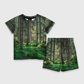 Детский костюм с шортами 3D с принтом Темный лес в Новосибирске,  |  | Тематика изображения на принте: бор | деревья | ель | ельник | заповедник | камни | красивый | лес | лето | мох | мрачный | прекрасный | природа | флора | чудесный