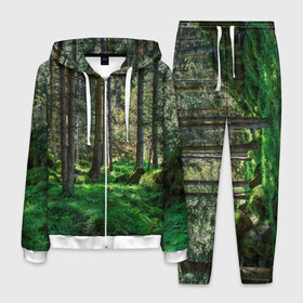 Мужской костюм 3D с принтом Темный лес в Новосибирске, 100% полиэстер | Манжеты и пояс оформлены тканевой резинкой, двухслойный капюшон со шнурком для регулировки, карманы спереди | бор | деревья | ель | ельник | заповедник | камни | красивый | лес | лето | мох | мрачный | прекрасный | природа | флора | чудесный