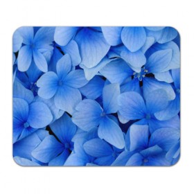 Коврик прямоугольный с принтом Синие цветы в Новосибирске, натуральный каучук | размер 230 х 185 мм; запечатка лицевой стороны | 