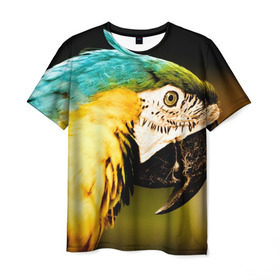Мужская футболка 3D с принтом Попугай в Новосибирске, 100% полиэфир | прямой крой, круглый вырез горловины, длина до линии бедер | Тематика изображения на принте: двое | классный | клюв | красивый | крылья | попугай | попугайчик | птица | птичка | радужный