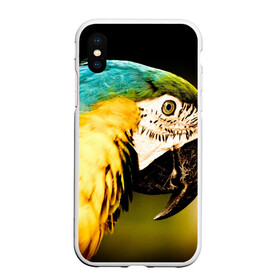 Чехол для iPhone XS Max матовый с принтом Попугай в Новосибирске, Силикон | Область печати: задняя сторона чехла, без боковых панелей | Тематика изображения на принте: двое | классный | клюв | красивый | крылья | попугай | попугайчик | птица | птичка | радужный