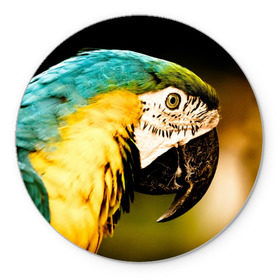 Коврик круглый с принтом Попугай в Новосибирске, резина и полиэстер | круглая форма, изображение наносится на всю лицевую часть | двое | классный | клюв | красивый | крылья | попугай | попугайчик | птица | птичка | радужный