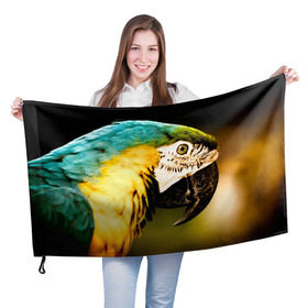 Флаг 3D с принтом Попугай в Новосибирске, 100% полиэстер | плотность ткани — 95 г/м2, размер — 67 х 109 см. Принт наносится с одной стороны | двое | классный | клюв | красивый | крылья | попугай | попугайчик | птица | птичка | радужный