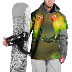 Накидка на куртку 3D с принтом Попугаи в Новосибирске, 100% полиэстер |  | двое | классный | клюв | красивый | крылья | попугай | попугайчик | птица | птичка | радужный