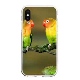 Чехол для iPhone XS Max матовый с принтом Попугаи в Новосибирске, Силикон | Область печати: задняя сторона чехла, без боковых панелей | Тематика изображения на принте: двое | классный | клюв | красивый | крылья | попугай | попугайчик | птица | птичка | радужный