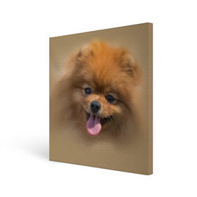 Холст квадратный с принтом Шпиц в Новосибирске, 100% ПВХ |  | Тематика изображения на принте: shpic | животные | мордочка | пёс | рыжий | собака | собачка | язык