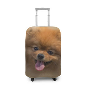 Чехол для чемодана 3D с принтом Шпиц в Новосибирске, 86% полиэфир, 14% спандекс | двустороннее нанесение принта, прорези для ручек и колес | shpic | животные | мордочка | пёс | рыжий | собака | собачка | язык