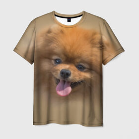 Мужская футболка 3D с принтом Шпиц в Новосибирске, 100% полиэфир | прямой крой, круглый вырез горловины, длина до линии бедер | shpic | животные | мордочка | пёс | рыжий | собака | собачка | язык