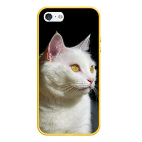 Чехол для iPhone 5/5S матовый с принтом Белая и пушистая в Новосибирске, Силикон | Область печати: задняя сторона чехла, без боковых панелей | белый | взгляд | глаза | киска | кот | котёнок | кошка | пушистый