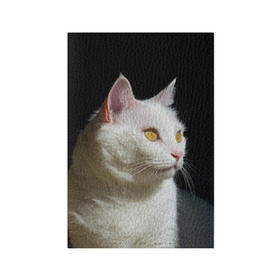 Обложка для паспорта матовая кожа с принтом Белая и пушистая в Новосибирске, натуральная матовая кожа | размер 19,3 х 13,7 см; прозрачные пластиковые крепления | белый | взгляд | глаза | киска | кот | котёнок | кошка | пушистый