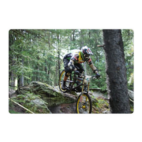 Магнитный плакат 3Х2 с принтом Велоспорт гонка в Новосибирске, Полимерный материал с магнитным слоем | 6 деталей размером 9*9 см | велик | велосипед | гонка | горы | деревья | железный конь | колесо | лес | лисапед | природа | ровер | спорт | спортсмен | стальной конь | тандем | трицикл | шлем