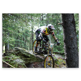 Поздравительная открытка с принтом Велоспорт гонка в Новосибирске, 100% бумага | плотность бумаги 280 г/м2, матовая, на обратной стороне линовка и место для марки
 | Тематика изображения на принте: велик | велосипед | гонка | горы | деревья | железный конь | колесо | лес | лисапед | природа | ровер | спорт | спортсмен | стальной конь | тандем | трицикл | шлем