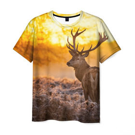 Мужская футболка 3D с принтом Олень в Новосибирске, 100% полиэфир | прямой крой, круглый вырез горловины, длина до линии бедер | бор | дубрава | ельник | животное | закат | косуля | лес | лось | млекопитающее | олень | природа | расвет | рогач | рока | тайга | чащоба