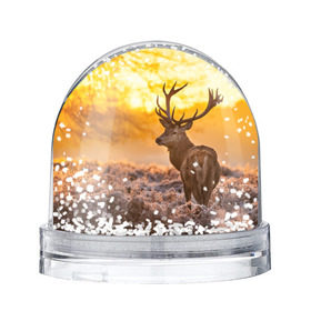 Снежный шар с принтом Олень в Новосибирске, Пластик | Изображение внутри шара печатается на глянцевой фотобумаге с двух сторон | бор | дубрава | ельник | животное | закат | косуля | лес | лось | млекопитающее | олень | природа | расвет | рогач | рока | тайга | чащоба