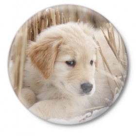 Значок с принтом Щеночек в Новосибирске,  металл | круглая форма, металлическая застежка в виде булавки | Тематика изображения на принте: dog | puppy | собака | щенок | щеночек