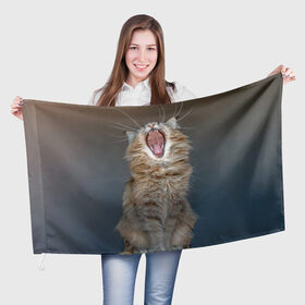 Флаг 3D с принтом Мартовский кот в Новосибирске, 100% полиэстер | плотность ткани — 95 г/м2, размер — 67 х 109 см. Принт наносится с одной стороны | кот | кошка | март | пасть | усы