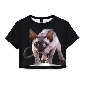 Женская футболка 3D укороченная с принтом сфинкс в Новосибирске, 100% полиэстер | круглая горловина, длина футболки до линии талии, рукава с отворотами | cat | голубые глаза | кот | котик | котэ | кошка | сфинкс | черный