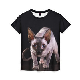 Женская футболка 3D с принтом сфинкс в Новосибирске, 100% полиэфир ( синтетическое хлопкоподобное полотно) | прямой крой, круглый вырез горловины, длина до линии бедер | Тематика изображения на принте: cat | голубые глаза | кот | котик | котэ | кошка | сфинкс | черный