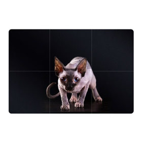 Магнитный плакат 3Х2 с принтом сфинкс в Новосибирске, Полимерный материал с магнитным слоем | 6 деталей размером 9*9 см | Тематика изображения на принте: cat | голубые глаза | кот | котик | котэ | кошка | сфинкс | черный