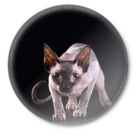 Значок с принтом сфинкс в Новосибирске,  металл | круглая форма, металлическая застежка в виде булавки | Тематика изображения на принте: cat | голубые глаза | кот | котик | котэ | кошка | сфинкс | черный