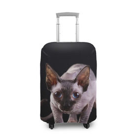 Чехол для чемодана 3D с принтом сфинкс в Новосибирске, 86% полиэфир, 14% спандекс | двустороннее нанесение принта, прорези для ручек и колес | cat | голубые глаза | кот | котик | котэ | кошка | сфинкс | черный