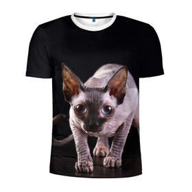 Мужская футболка 3D спортивная с принтом сфинкс в Новосибирске, 100% полиэстер с улучшенными характеристиками | приталенный силуэт, круглая горловина, широкие плечи, сужается к линии бедра | cat | голубые глаза | кот | котик | котэ | кошка | сфинкс | черный