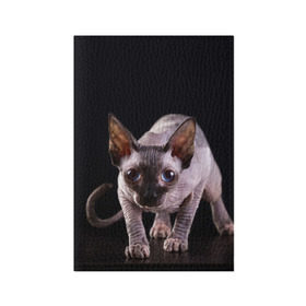 Обложка для паспорта матовая кожа с принтом сфинкс в Новосибирске, натуральная матовая кожа | размер 19,3 х 13,7 см; прозрачные пластиковые крепления | cat | голубые глаза | кот | котик | котэ | кошка | сфинкс | черный