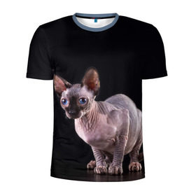 Мужская футболка 3D спортивная с принтом сфинкс в Новосибирске, 100% полиэстер с улучшенными характеристиками | приталенный силуэт, круглая горловина, широкие плечи, сужается к линии бедра | Тематика изображения на принте: взгляд | голубые глаза | киска | кот | котенок | котик | котэ | серый | сфинкс | черный