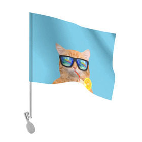 Флаг для автомобиля с принтом котэ на отдыхе в Новосибирске, 100% полиэстер | Размер: 30*21 см | кот | котик | лето | море | отдых | очки | пальмы | пляж | рыжий кот | солнце
