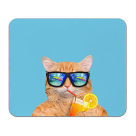 Коврик прямоугольный с принтом котэ на отдыхе в Новосибирске, натуральный каучук | размер 230 х 185 мм; запечатка лицевой стороны | кот | котик | лето | море | отдых | очки | пальмы | пляж | рыжий кот | солнце