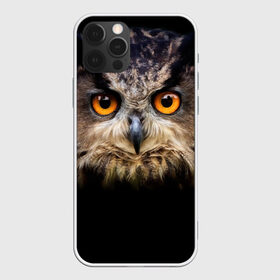 Чехол для iPhone 12 Pro Max с принтом Хищный взор в Новосибирске, Силикон |  | взгляд | глаза | клюв | пернатые | перья | птица | сова | филин | хищник