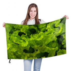 Флаг 3D с принтом Зелень в Новосибирске, 100% полиэстер | плотность ткани — 95 г/м2, размер — 67 х 109 см. Принт наносится с одной стороны | веган | зеленый | зелень | лето | овощи | салат | солнце | фрукты