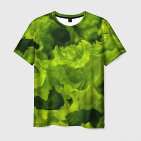 Мужская футболка 3D с принтом Зелень в Новосибирске, 100% полиэфир | прямой крой, круглый вырез горловины, длина до линии бедер | веган | зеленый | зелень | лето | овощи | салат | солнце | фрукты