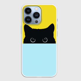 Чехол для iPhone 13 Pro с принтом Кот спрятался в Новосибирске,  |  | 3d | cat | kitty | животные | иллюстрация | киса | кот | кот спрятался | котенок | котэ | кошка | минимализм | рисунок | цифровое искусство