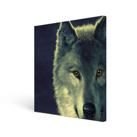 Холст квадратный с принтом Серый волк в Новосибирске, 100% ПВХ |  | аука | бирюк | волк | волчара | волчица | волчок | глаза | животное | животные | зверь | зеленые | койот | млекопитающее | нос | санитар леса | серый | уши | фауна | фон | хищник | черный | шакал | шерсть