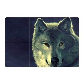 Магнитный плакат 3Х2 с принтом Серый волк в Новосибирске, Полимерный материал с магнитным слоем | 6 деталей размером 9*9 см | Тематика изображения на принте: аука | бирюк | волк | волчара | волчица | волчок | глаза | животное | животные | зверь | зеленые | койот | млекопитающее | нос | санитар леса | серый | уши | фауна | фон | хищник | черный | шакал | шерсть