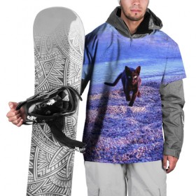 Накидка на куртку 3D с принтом Пляж в Новосибирске, 100% полиэстер |  | cat | kitty | животные | киса | кот | котенок | котэ | кошка
