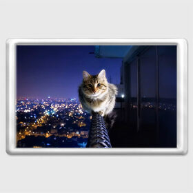 Магнит 45*70 с принтом Киса на балконе в Новосибирске, Пластик | Размер: 78*52 мм; Размер печати: 70*45 | Тематика изображения на принте: cat | kitty | животные | киса | кот | котенок | котэ | кошка